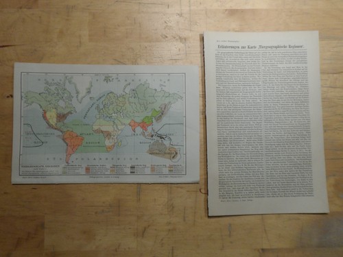Orig lithographie - orig.(1908),