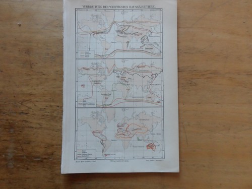 Orig lithographie - orig.(1897),
